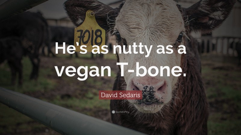 David Sedaris Quote: “He’s as nutty as a vegan T-bone.”