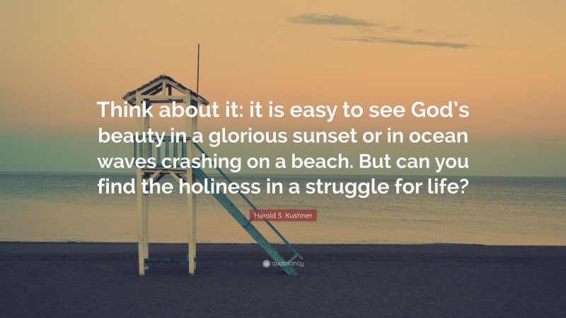 Harold S. Kushner Quote: “Think about it: it is easy to see God’s beauty in a glorious sunset or in ocean waves crashing on a beach. But can you find the holiness in a struggle for life?”