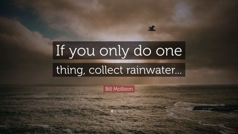 Bill Mollison Quote: “If you only do one thing, collect rainwater...”