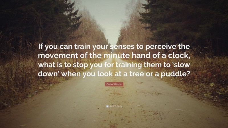 Colin Wilson Quote: “If you can train your senses to perceive the movement of the minute hand of a clock, what is to stop you for training them to ‘slow down’ when you look at a tree or a puddle?”