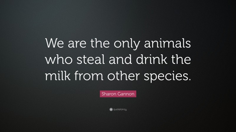 Sharon Gannon Quote: “We are the only animals who steal and drink the milk from other species.”