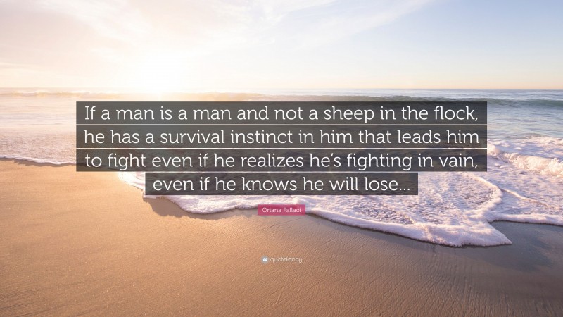 Oriana Fallaci Quote: “If a man is a man and not a sheep in the flock, he has a survival instinct in him that leads him to fight even if he realizes he’s fighting in vain, even if he knows he will lose...”