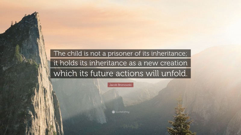Jacob Bronowski Quote: “The child is not a prisoner of its inheritance; it holds its inheritance as a new creation which its future actions will unfold.”