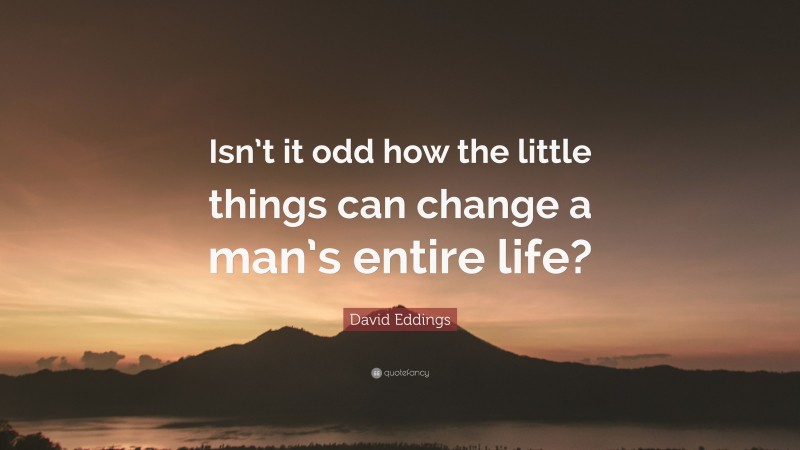 David Eddings Quote: “Isn’t it odd how the little things can change a man’s entire life?”