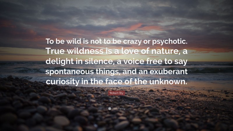 Robert Bly Quote: “To be wild is not to be crazy or psychotic. True wildness is a love of nature, a delight in silence, a voice free to say spontaneous things, and an exuberant curiosity in the face of the unknown.”