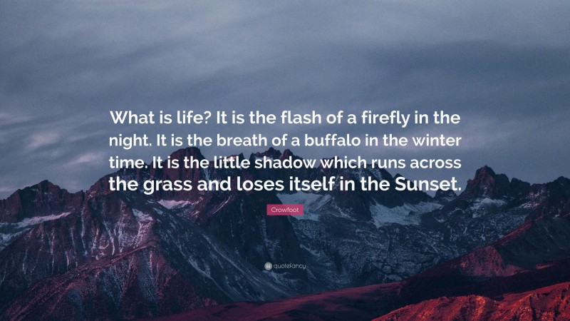 Crowfoot Quote: “What is life? It is the flash of a firefly in the night. It is the breath of a buffalo in the winter time. It is the little shadow which runs across the grass and loses itself in the Sunset.”