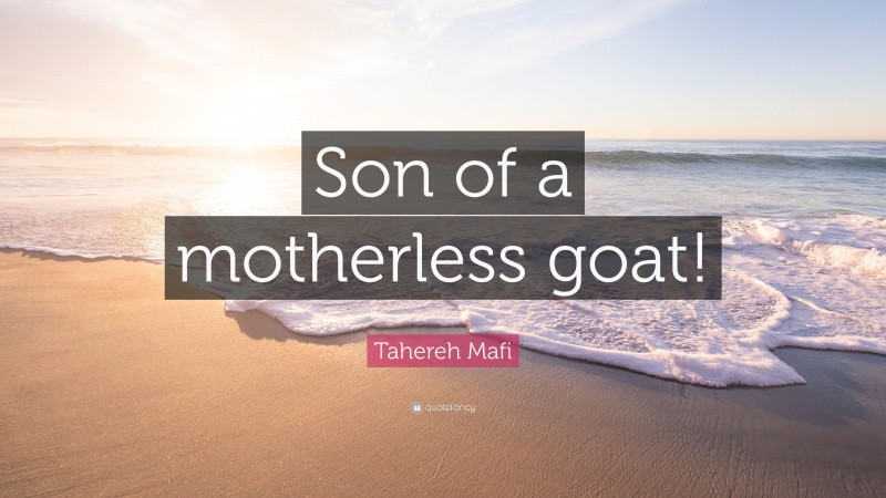Tahereh Mafi Quote: “Son of a motherless goat!”