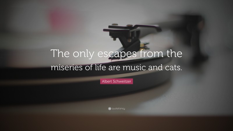 Albert Schweitzer Quote: “The only escapes from the miseries of life are music and cats.”