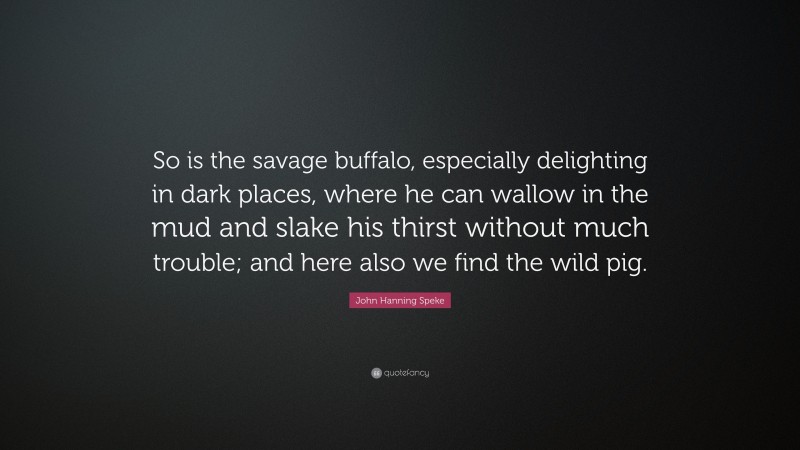 John Hanning Speke Quote: “So is the savage buffalo, especially delighting in dark places, where he can wallow in the mud and slake his thirst without much trouble; and here also we find the wild pig.”