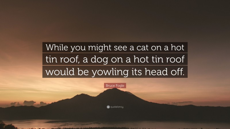Bruce Fogle Quote: “While you might see a cat on a hot tin roof, a dog on a hot tin roof would be yowling its head off.”