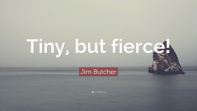 Jim Butcher Quote: “Tiny, but fierce!”