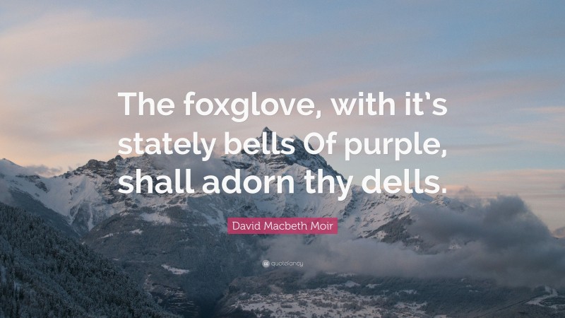David Macbeth Moir Quote: “The foxglove, with it’s stately bells Of purple, shall adorn thy dells.”