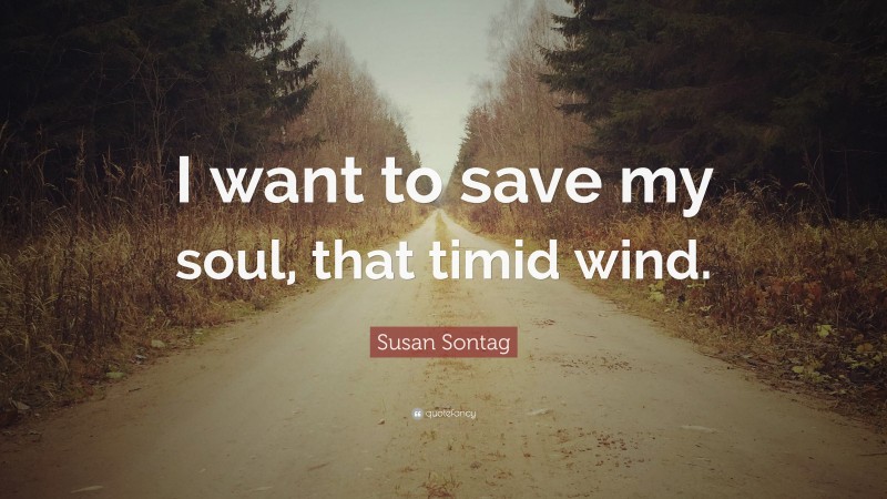 Susan Sontag Quote: “I want to save my soul, that timid wind.”