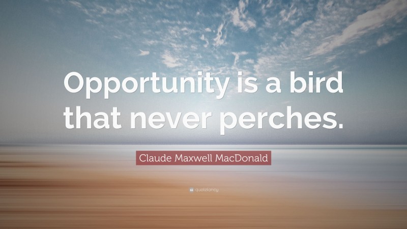 Claude Maxwell MacDonald Quote: “Opportunity is a bird that never perches.”