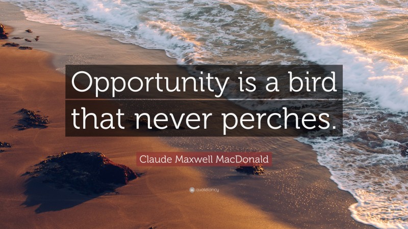 Claude Maxwell MacDonald Quote: “Opportunity is a bird that never perches.”