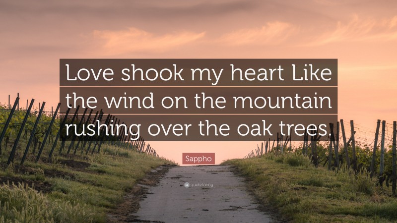 Sappho Quote: “Love shook my heart Like the wind on the mountain rushing over the oak trees.”