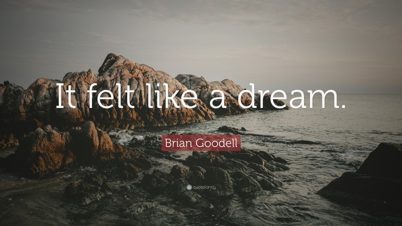 Brian Goodell Quote: “It felt like a dream.”