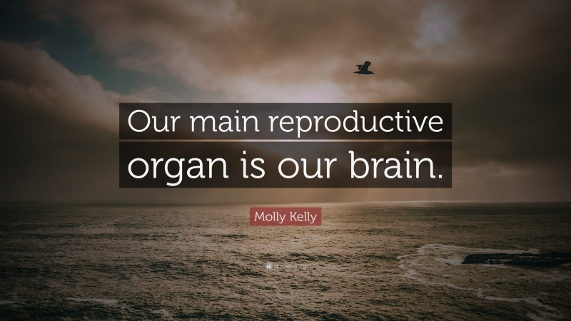 Molly Kelly Quote: “Our main reproductive organ is our brain.”