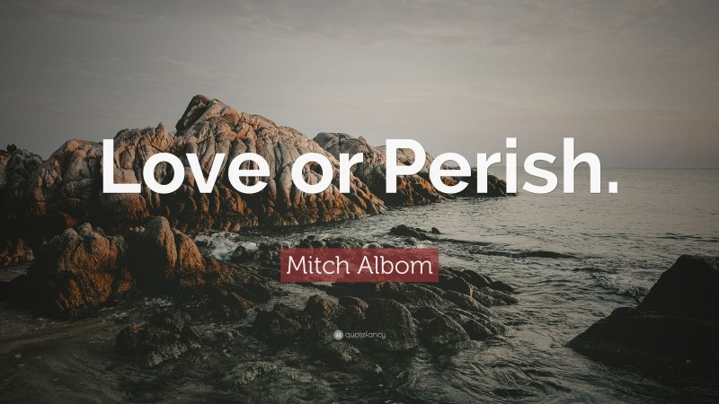 Mitch Albom Quote: “Love or Perish.”