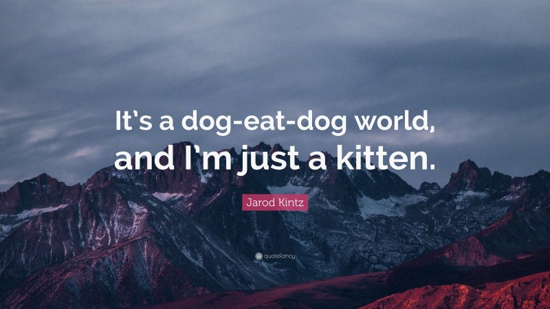 Jarod Kintz Quote: “It’s a dog-eat-dog world, and I’m just a kitten.”
