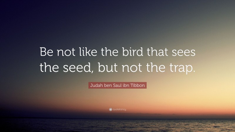 Judah ben Saul ibn Tibbon Quote: “Be not like the bird that sees the seed, but not the trap.”