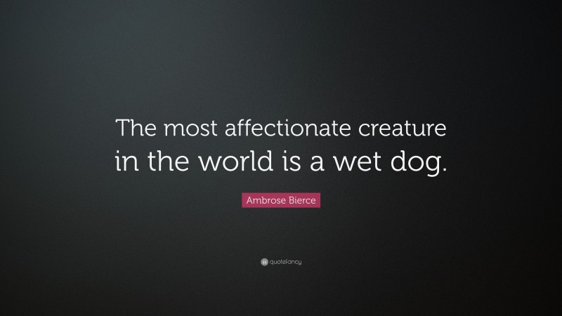 Ambrose Bierce Quote: “The most affectionate creature in the world is a wet dog.”