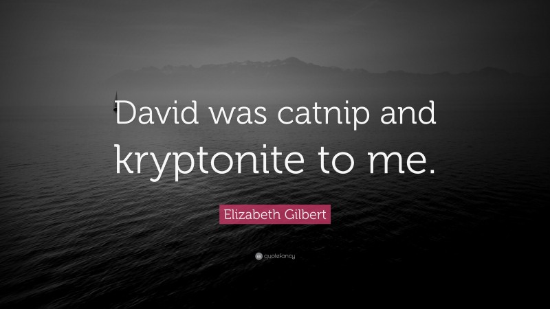 Elizabeth Gilbert Quote: “David was catnip and kryptonite to me.”