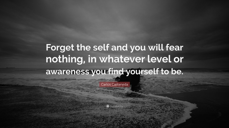 Carlos Castaneda Quote: “Forget the self and you will fear nothing, in whatever level or awareness you find yourself to be.”