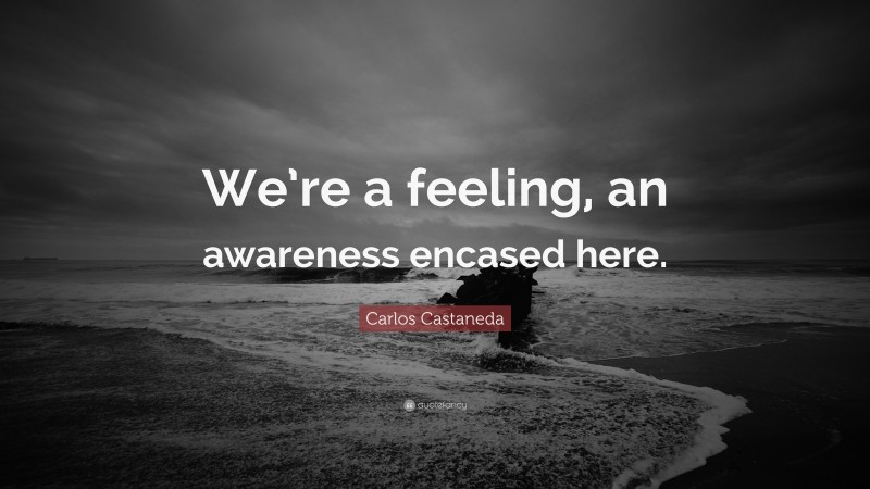 We’re a feeling, an awareness encased here.