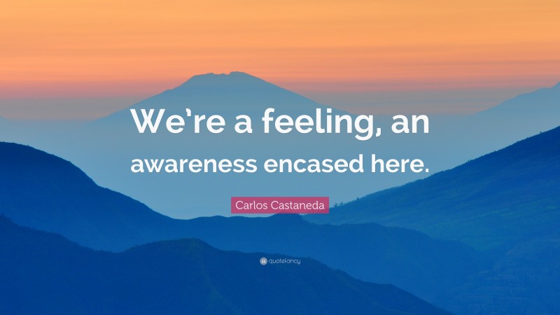 Carlos Castaneda Quote: “We’re a feeling, an awareness encased here.”