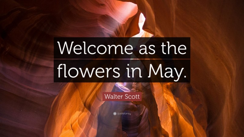 Walter Scott Quote: “Welcome as the flowers in May.”
