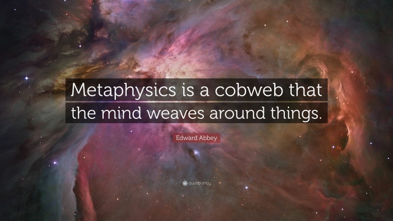 Edward Abbey Quote: “Metaphysics is a cobweb that the mind weaves around things.”