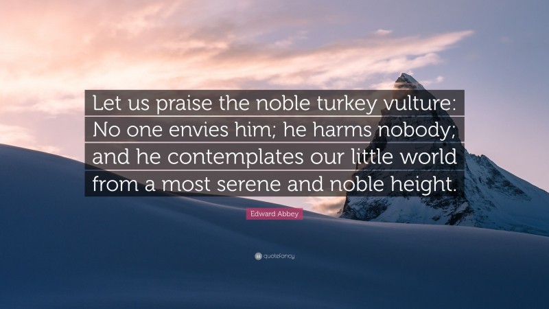 Edward Abbey Quote: “Let us praise the noble turkey vulture: No one envies him; he harms nobody; and he contemplates our little world from a most serene and noble height.”