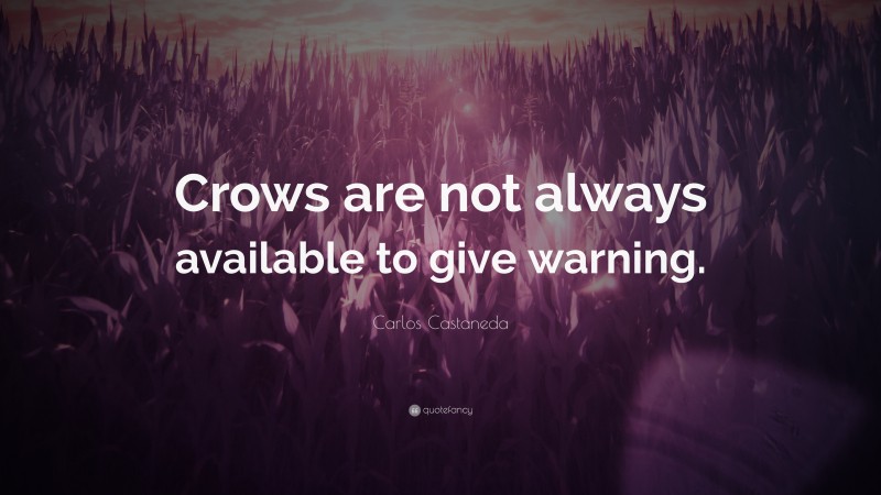 Carlos Castaneda Quote: “Crows are not always available to give warning.”