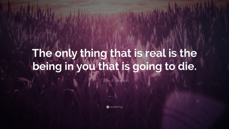 Carlos Castaneda Quote: “The only thing that is real is the being in you that is going to die.”