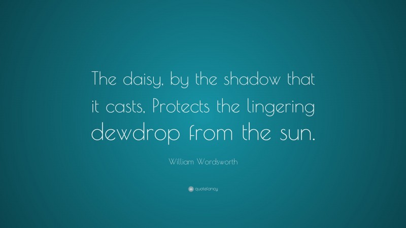 William Wordsworth Quote: “The daisy, by the shadow that it casts, Protects the lingering dewdrop from the sun.”