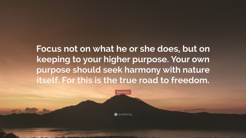 Epictetus Quote: “Focus not on what he or she does, but on keeping to your higher purpose. Your own purpose should seek harmony with nature itself. For this is the true road to freedom.”