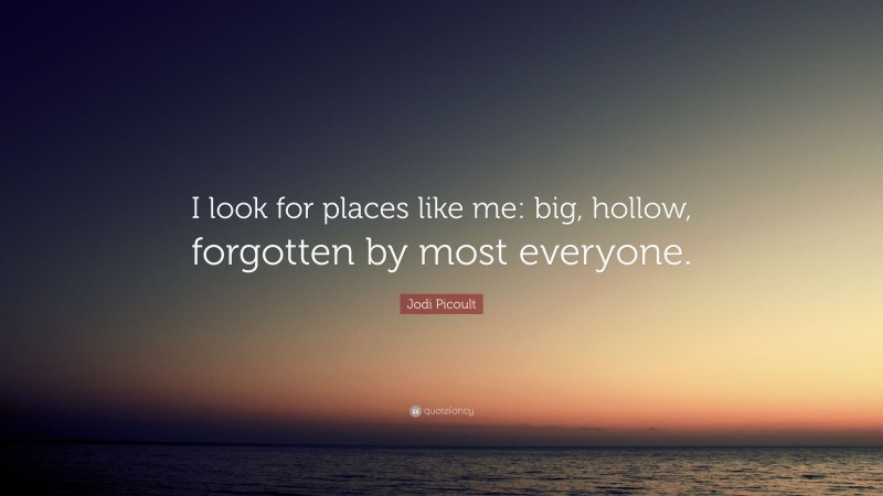 Jodi Picoult Quote: “I look for places like me: big, hollow, forgotten by most everyone.”