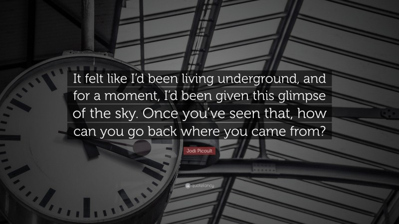Jodi Picoult Quote: “It felt like I’d been living underground, and for a moment, I’d been given this glimpse of the sky. Once you’ve seen that, how can you go back where you came from?”
