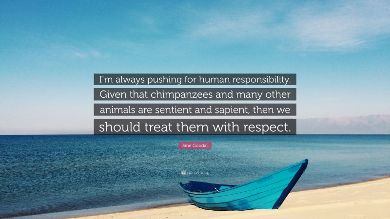 Jane Goodall Quote: “I’m always pushing for human responsibility. Given that chimpanzees and many other animals are sentient and sapient, then we should treat them with respect.”