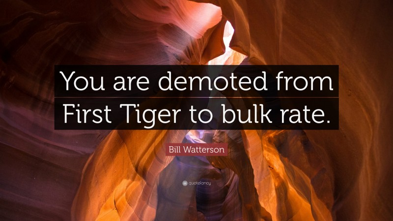 Bill Watterson Quote: “You are demoted from First Tiger to bulk rate.”