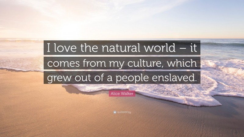 Alice Walker Quote: “I love the natural world – it comes from my culture, which grew out of a people enslaved.”