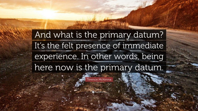 Terence McKenna Quote: “And what is the primary datum? It’s the felt presence of immediate experience. In other words, being here now is the primary datum.”