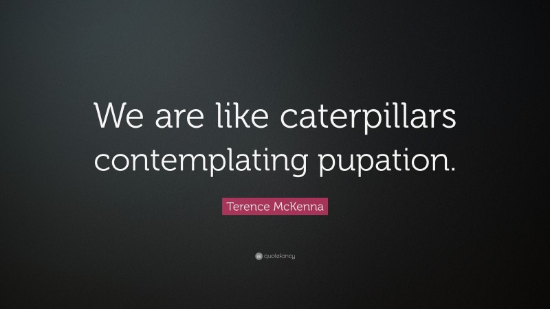 Terence McKenna Quote: “We are like caterpillars contemplating pupation.”