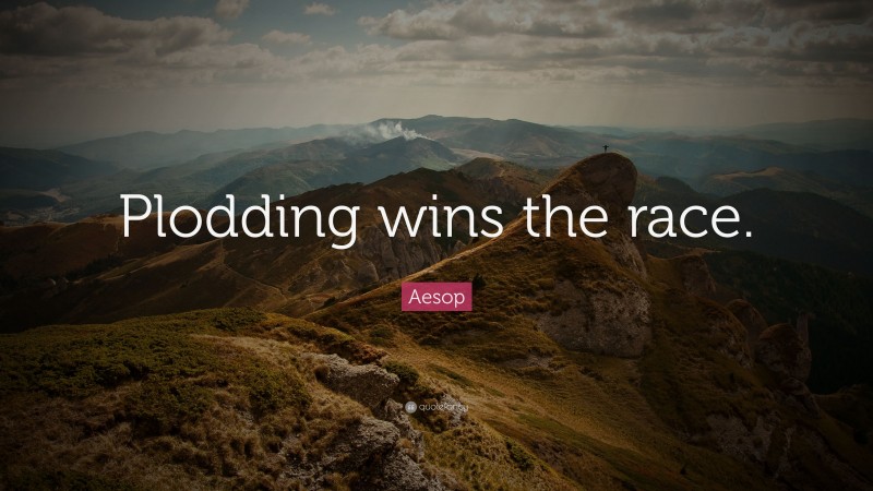 Aesop Quote: “Plodding wins the race.”