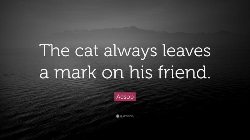 Aesop Quote: “The cat always leaves a mark on his friend.”