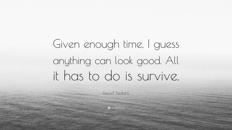 David Sedaris Quote: “Given enough time, I guess anything can look good. All it has to do is survive.”