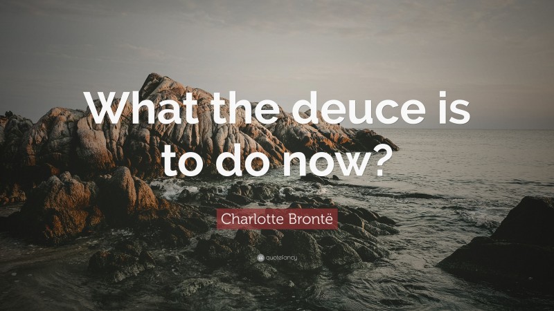 Charlotte Brontë Quote: “What the deuce is to do now?”
