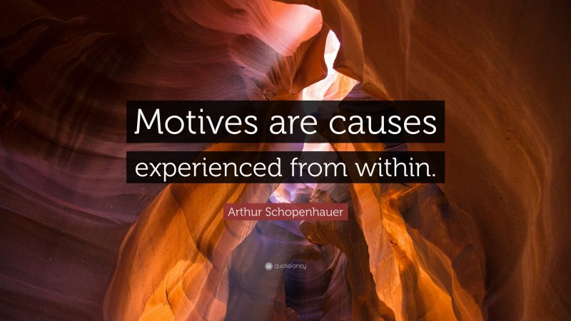 Arthur Schopenhauer Quote: “Motives are causes experienced from within.”