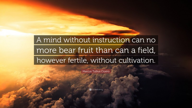Marcus Tullius Cicero Quote: “A mind without instruction can no more bear fruit than can a field, however fertile, without cultivation.”